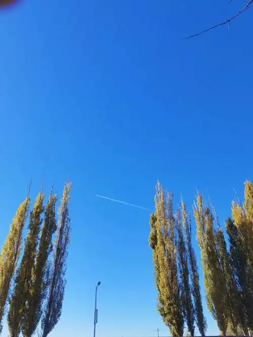 十月份不停的逛吃逛吃狂吃,体重增加了两公斤!所以11月我称之 - 抖音