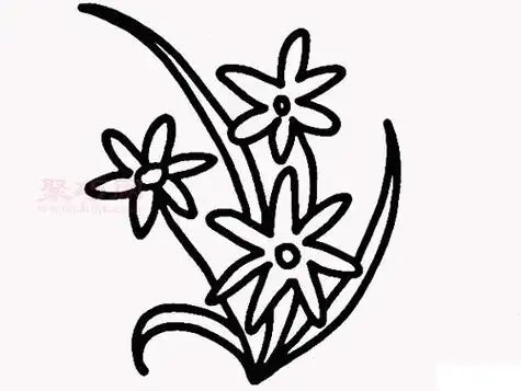 满天星简笔画怎么画来看满天星简笔画画法