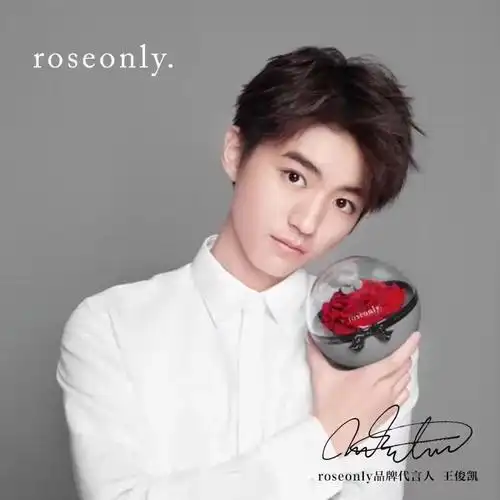roseonly 小熊精灵球 王俊凯代言 情人节将至,为心爱的她准备礼物了嘛