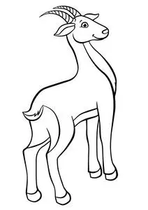 草原学校图片-草原学校素材-草原学校插画-摄图新视界