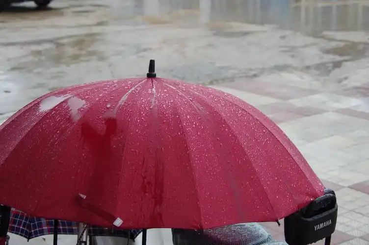 今天下雨拍了拍我自己的雨伞