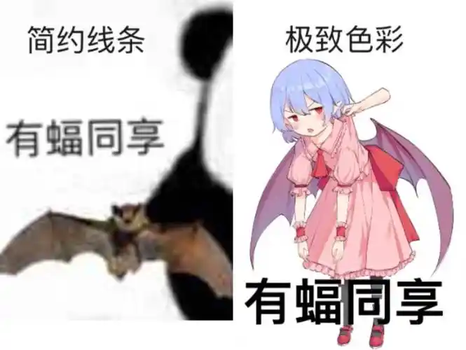 简约线条极致色彩,有蝠同享有蝠同享