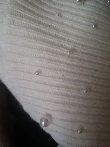 衣橱里衣服上这种黑褐色的小虫,爬的很快!还很多!