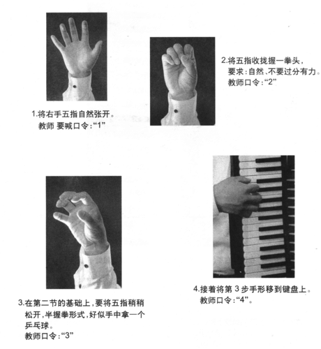手风琴左右手触键形状