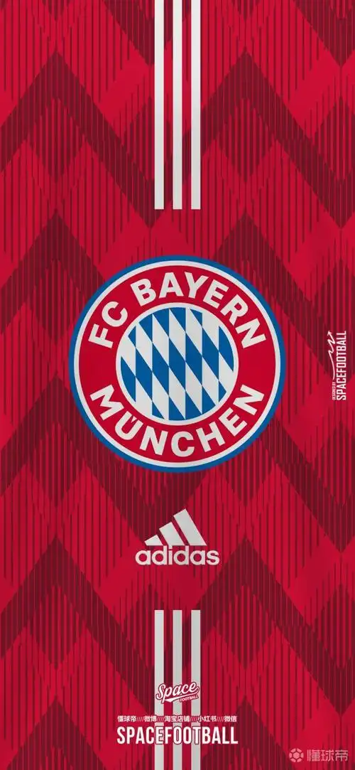 死忠饭队徽系列拜仁慕尼黑design
