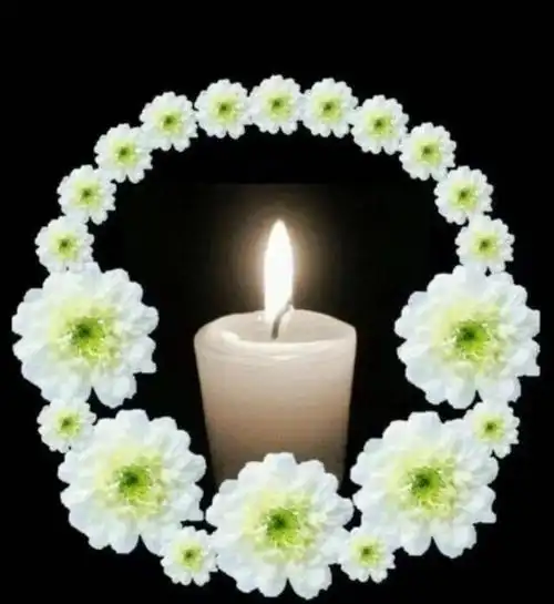 李长玉:沉痛悼念萧健老前辈!追忆!致敬!愿家人节哀顺变!多多保重身体!