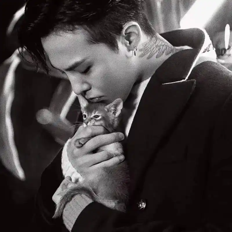 高清头像#权志龙  - 抖音