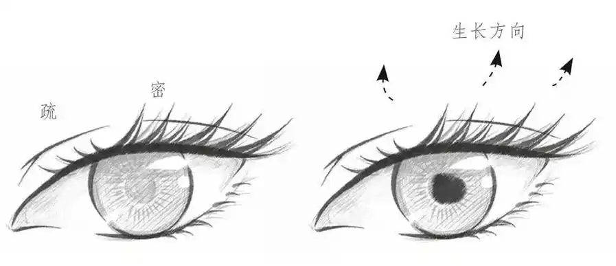 干货古风动漫白描人物五官之眼睛