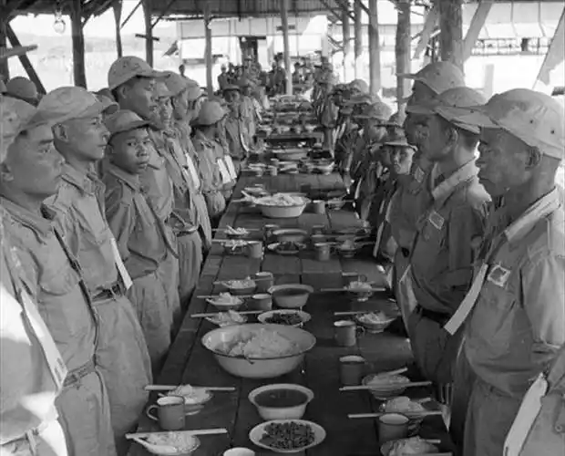 敌军突然出现,炊事员急中生智,化解了一场灾难,我军大获全胜_国民党