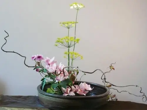 东方花道培训班