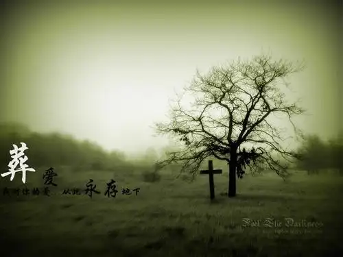 不在爱的时候该怎么办 葬爱?