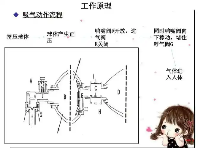 简易呼吸气囊的使用ppt