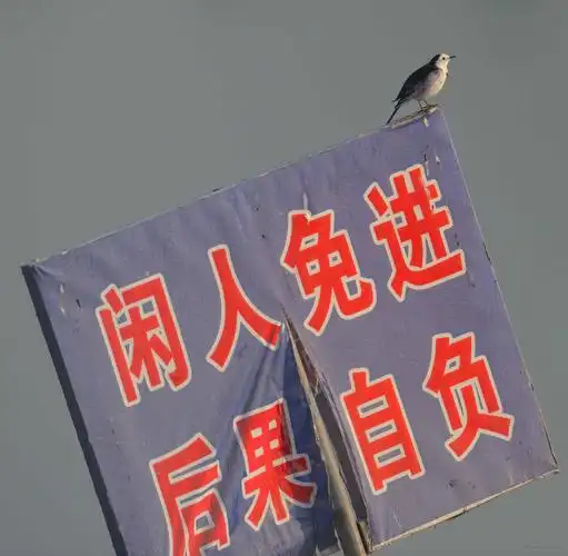 闲人免进后果自负