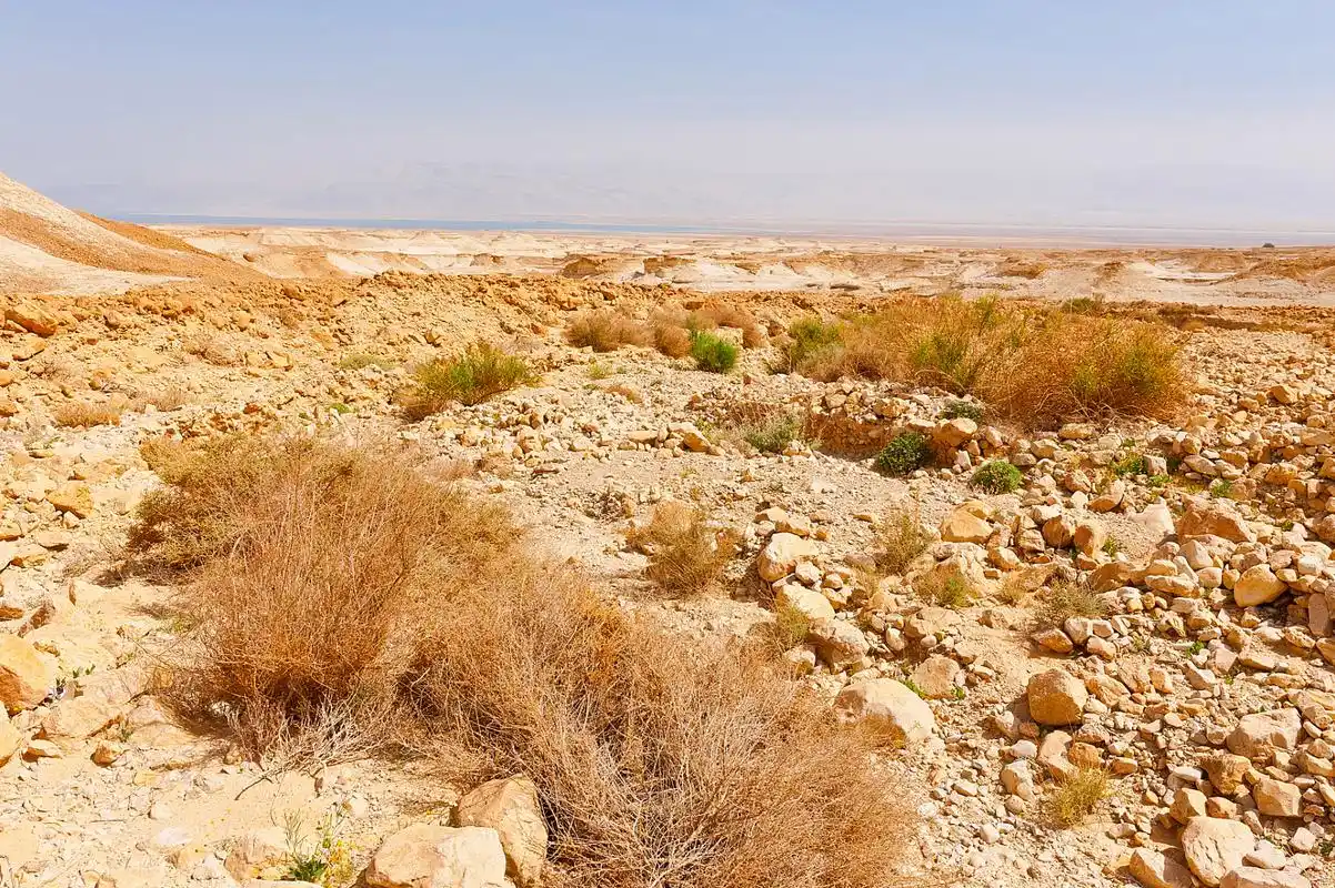 新疆戈壁荒滩,是大自然的艺术品,是沙漠的瑰宝.