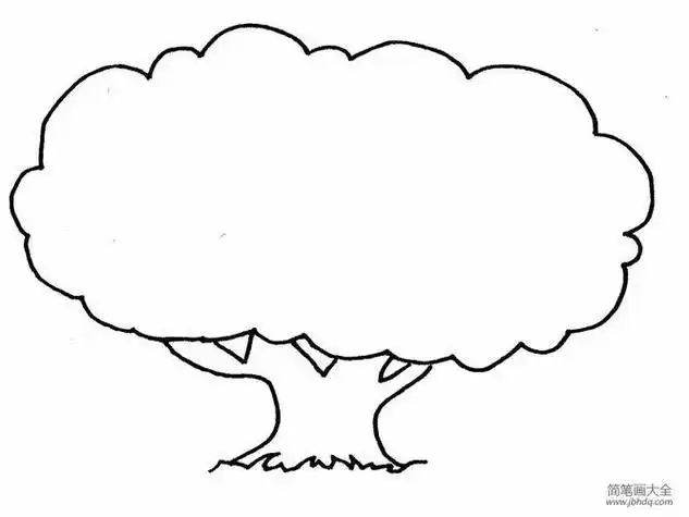 大树的简笔画-简笔画-369作文网