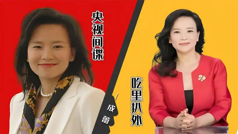央视主持成间谍!成蕾帮助澳美对付中国,却因一句话彻底暴露!