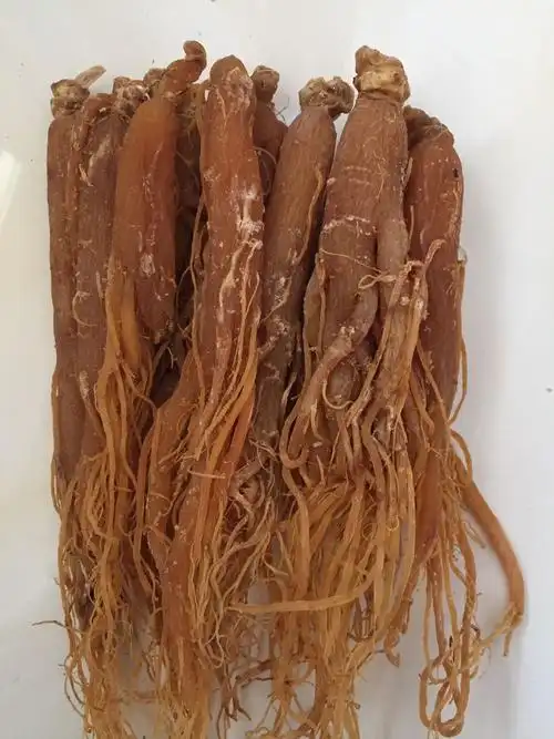 红参人参整支带须长白山整枝白参吉林吉林人250克其他药食同源食品