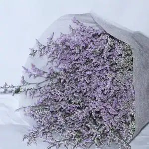 class=h>鲜花 /span> span class=h>批发 /span> 情人草一扎起批 玫瑰