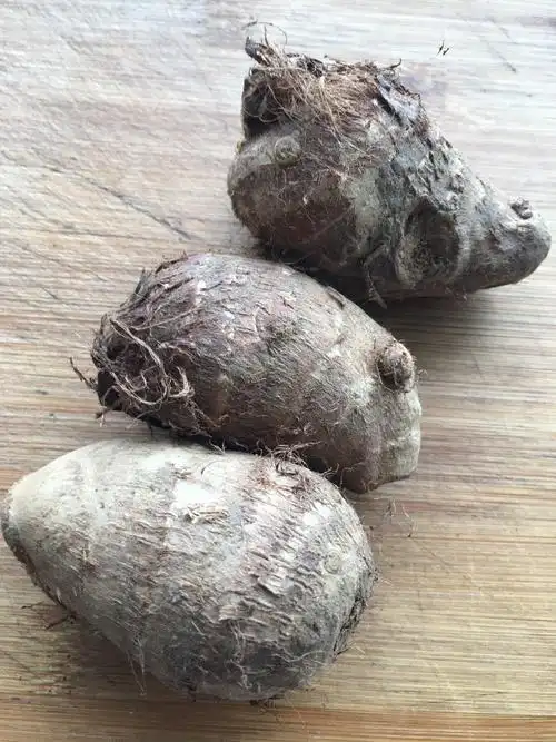 5斤装 毛芋头农家新鲜蔬菜 小香芋 芋艿晒单图