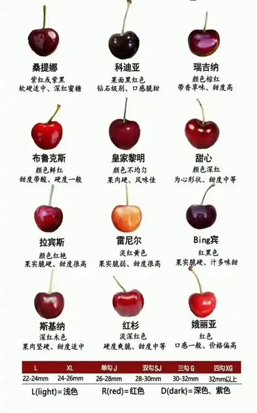 车厘子品种求助