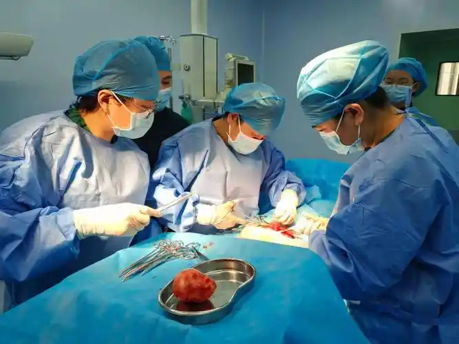 癌,乳腺癌,子宫内膜癌,卵巢癌,外阴癌根治术等,展现微创手术特色应用