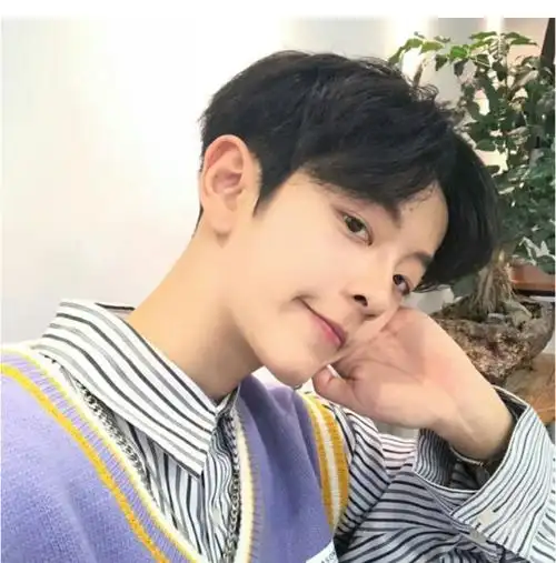 假发男中分刘海短卷发韩版帅气逼真自然蓬松网红学生全头套式 你那么