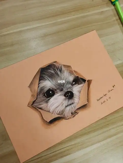 彩铅小狗狗破纸而出