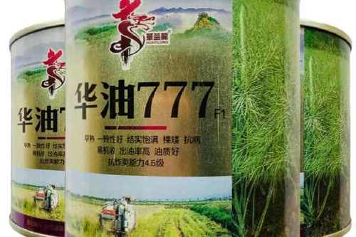 0/袋 华油777油菜籽种子 甘蓝型杂交油菜种子