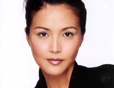 【图】爱在心处陈丽贞介绍 新加坡才华横溢的演员