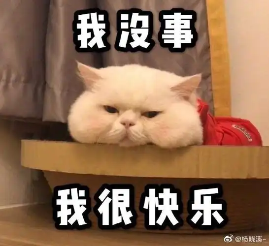 我真的服了军队文职报考系统了有人知道怎么提建议打报告嘛