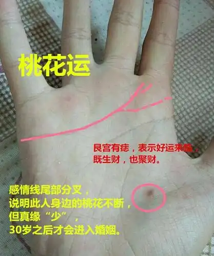 手相出现这3大特征,必定是桃花旺