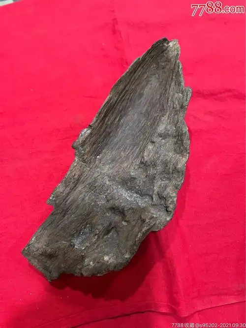 海南花梨公黑油好品