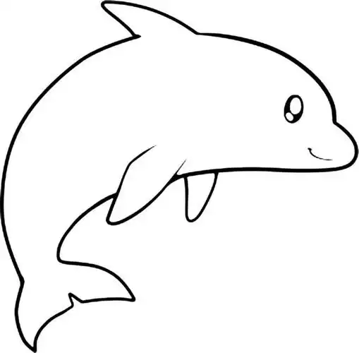 海豚动物简笔画步骤图片大全二
