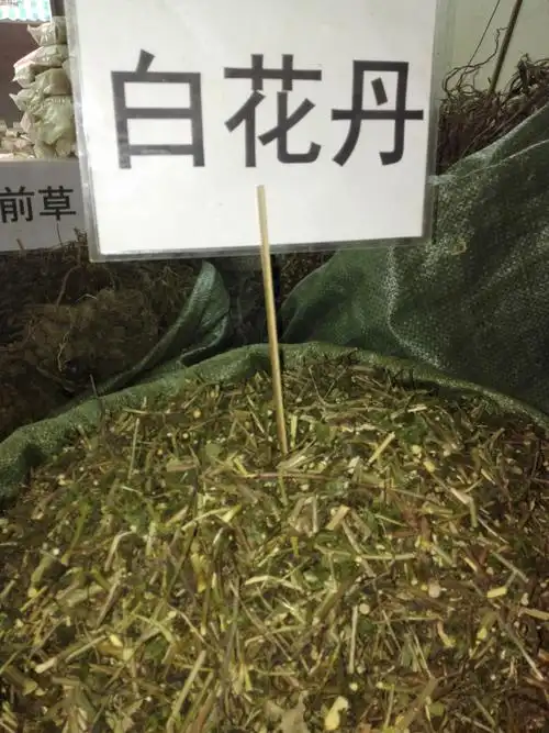 肝癌晚期的治疗方法有哪些肝癌白花蛇的药用价值