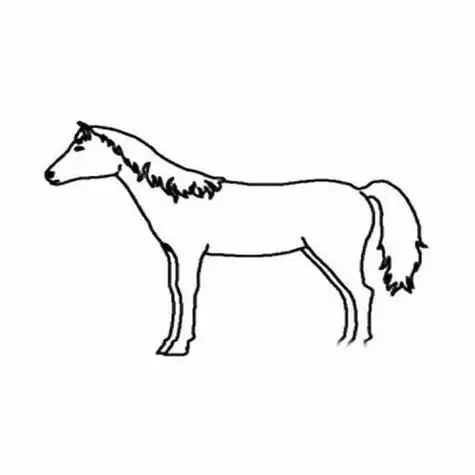 马的简笔画怎么画马的简笔画怎么画最简单的