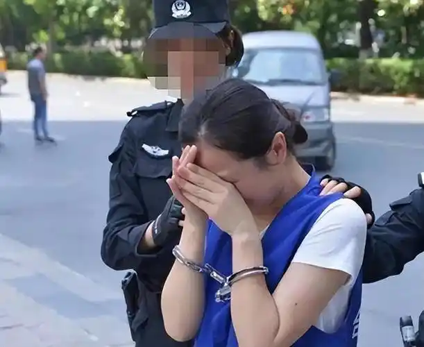 安徽合肥90后"女黑老大"杨春燕的沉浮录|刑法|诈骗罪_网易订阅