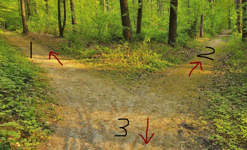 心理测试:3条路,选择一条分岔路,测感情中你什么地方最脆弱!