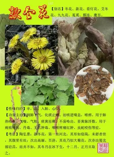 闲情雅趣.的美篇