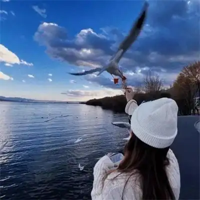 好看的头像女生简约气质可爱头像女大方唯美