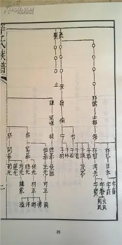 家谱----辛氏族谱 宽福公支 16开 758页 天启二年(1606年) 复印本