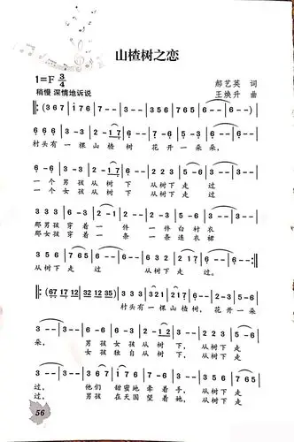 山楂树之恋简谱