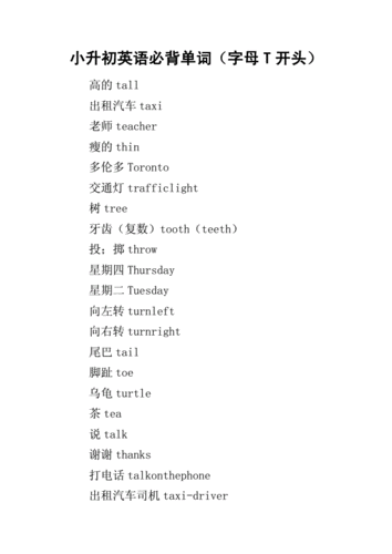小升初英语必背单词字母t开头docx14页