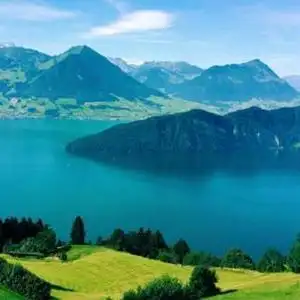 平安健康幸福头像