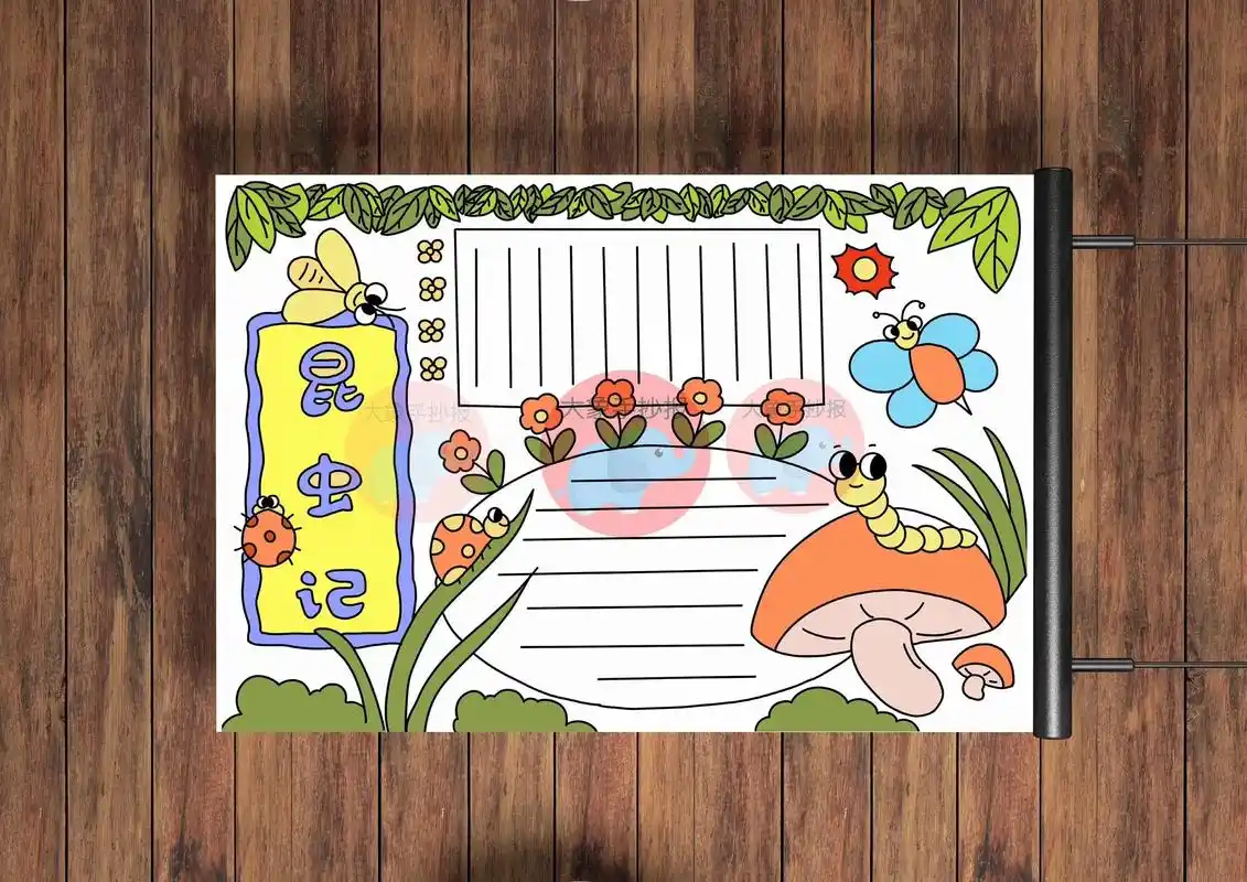 29昆虫记读后感手抄报电子版