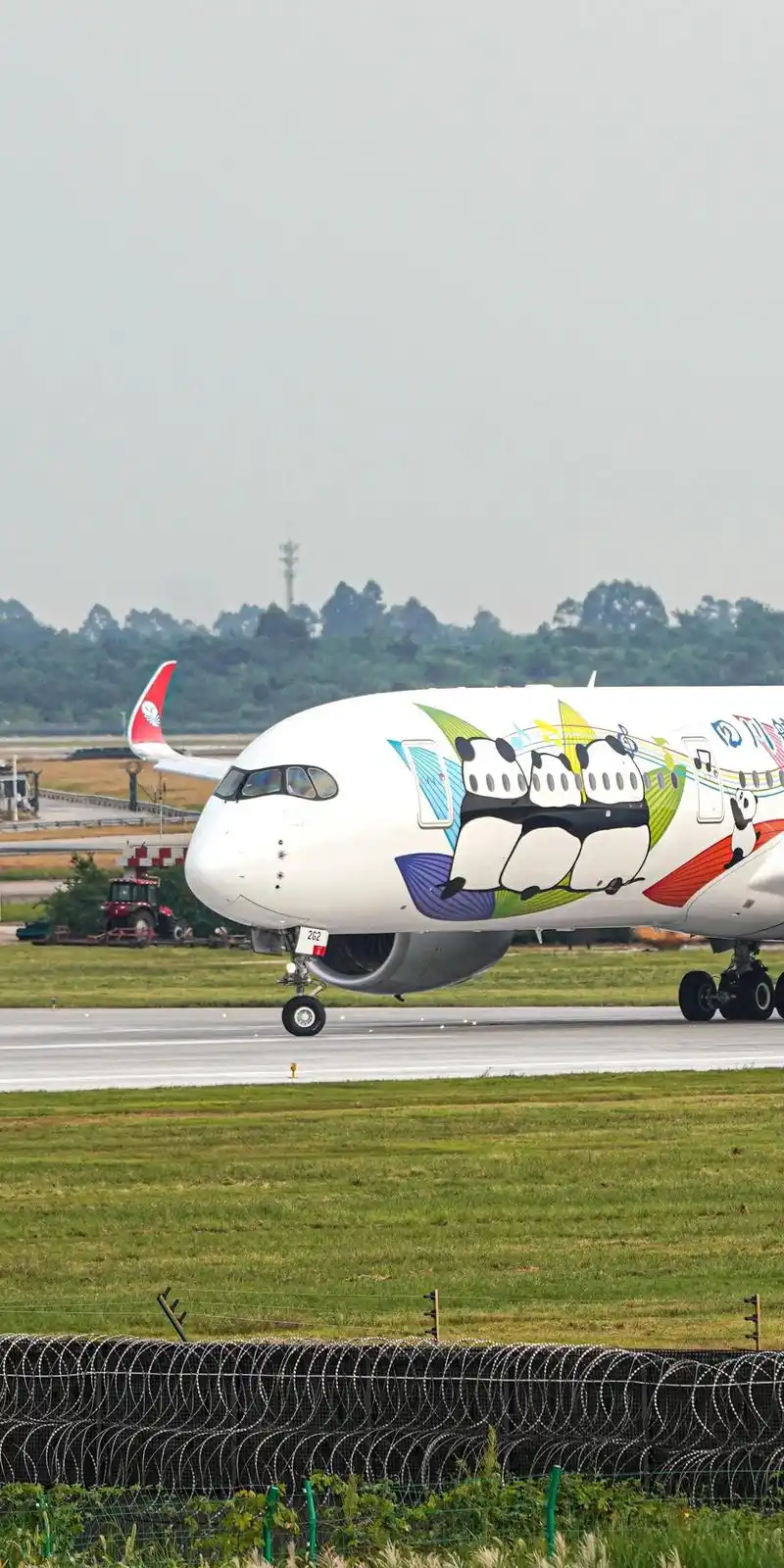 "四川航空熊猫机队涂装是以四川航空在2018年认养了一只名叫"三优"