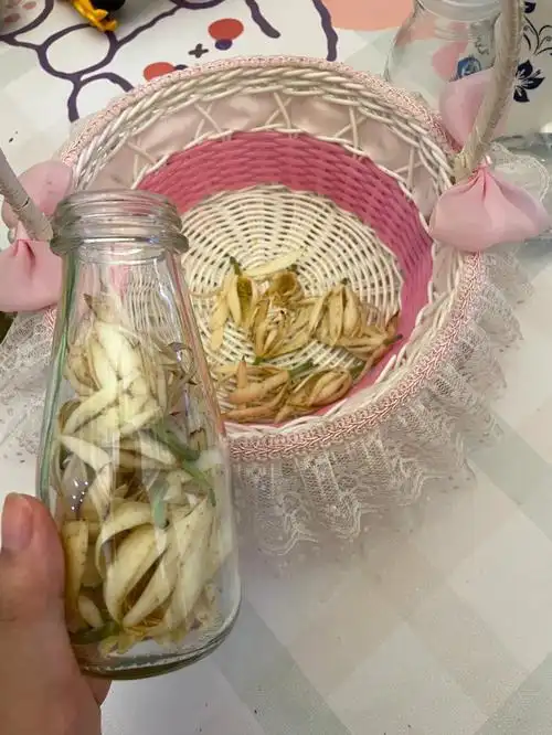 黄角兰泡酒驱蚊止痒小妙招