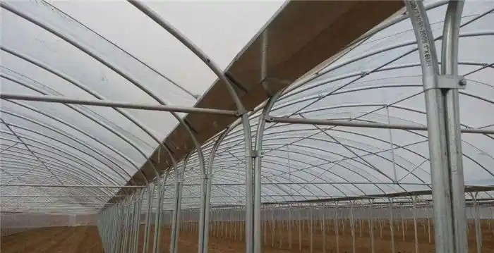 温室大棚分类以及各种大棚骨架的详细讲解!