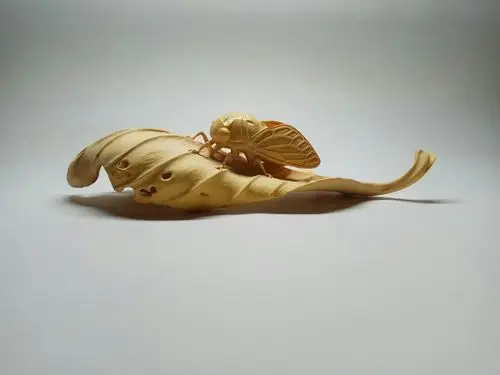 黄杨木雕蝉.