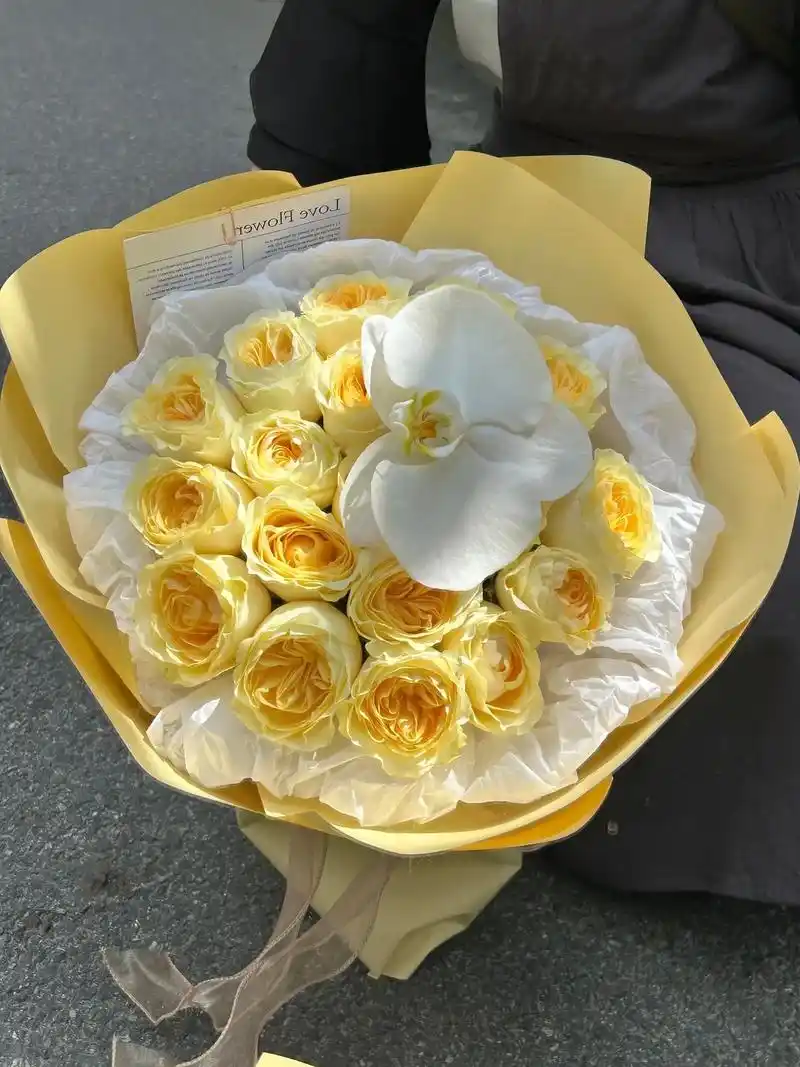 奶油杯玫瑰//上海花店.寓意:温润如玉 幸福归来 #玫瑰花  - 抖音