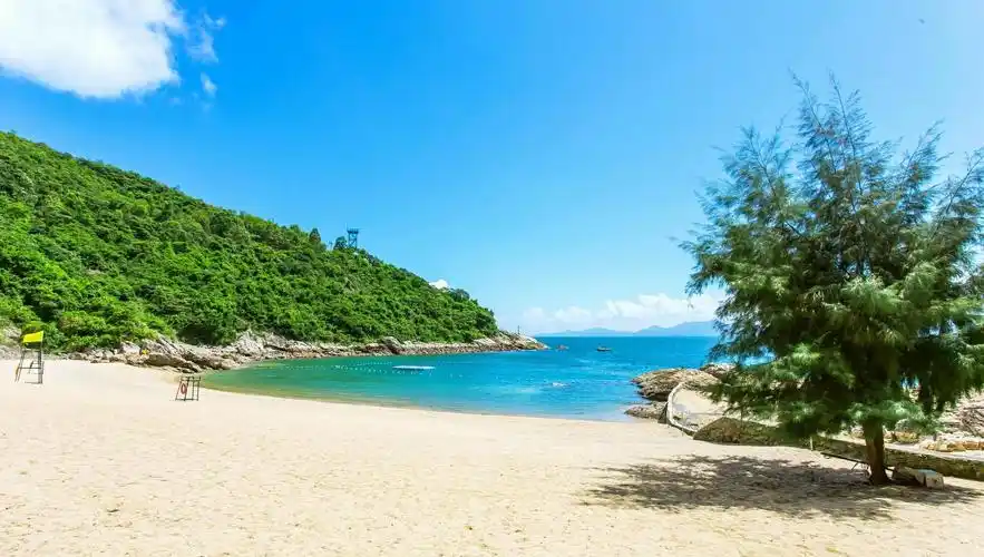 海边度假的唯美句子(深圳哪里最好玩呢) - 火句子